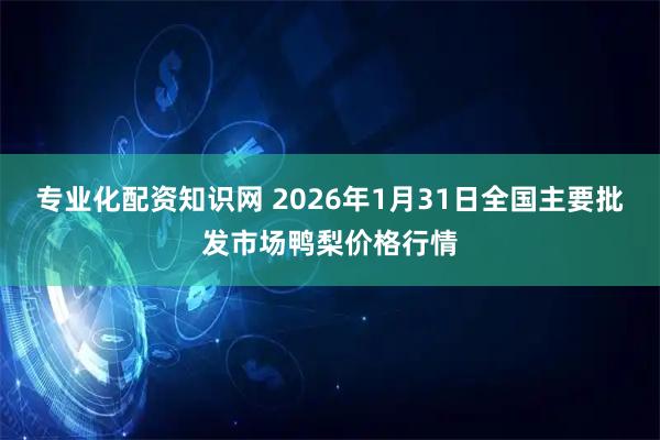 专业化配资知识网 2026年1月31日全国主要批发市场鸭梨价格行情