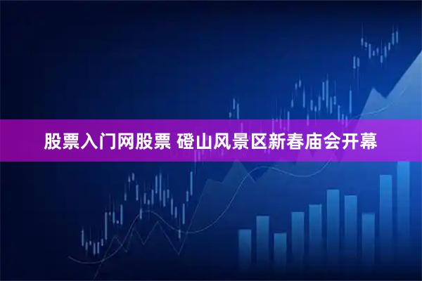 股票入门网股票 磴山风景区新春庙会开幕